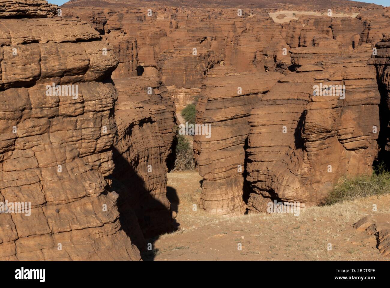 Labyrith der Felsformation d'Oyo in Ennedi Plateau auf Sahara Dessert, Tschad, Afrika. Stockfoto