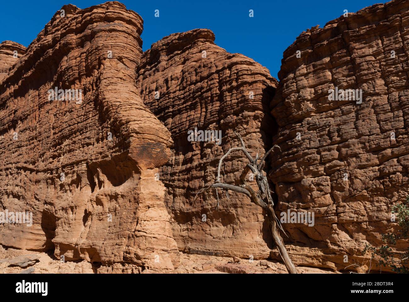 Labyrith der Felsformation d'Oyo in Ennedi Plateau auf Sahara Dessert, Tschad, Afrika. Stockfoto