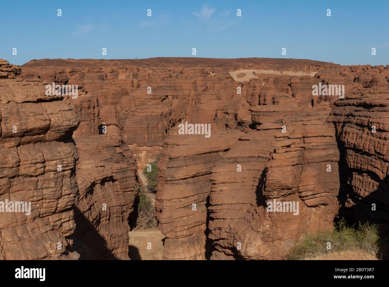 Labyrith der Felsformation d'Oyo in Ennedi Plateau auf Sahara Dessert, Tschad, Afrika. Stockfoto