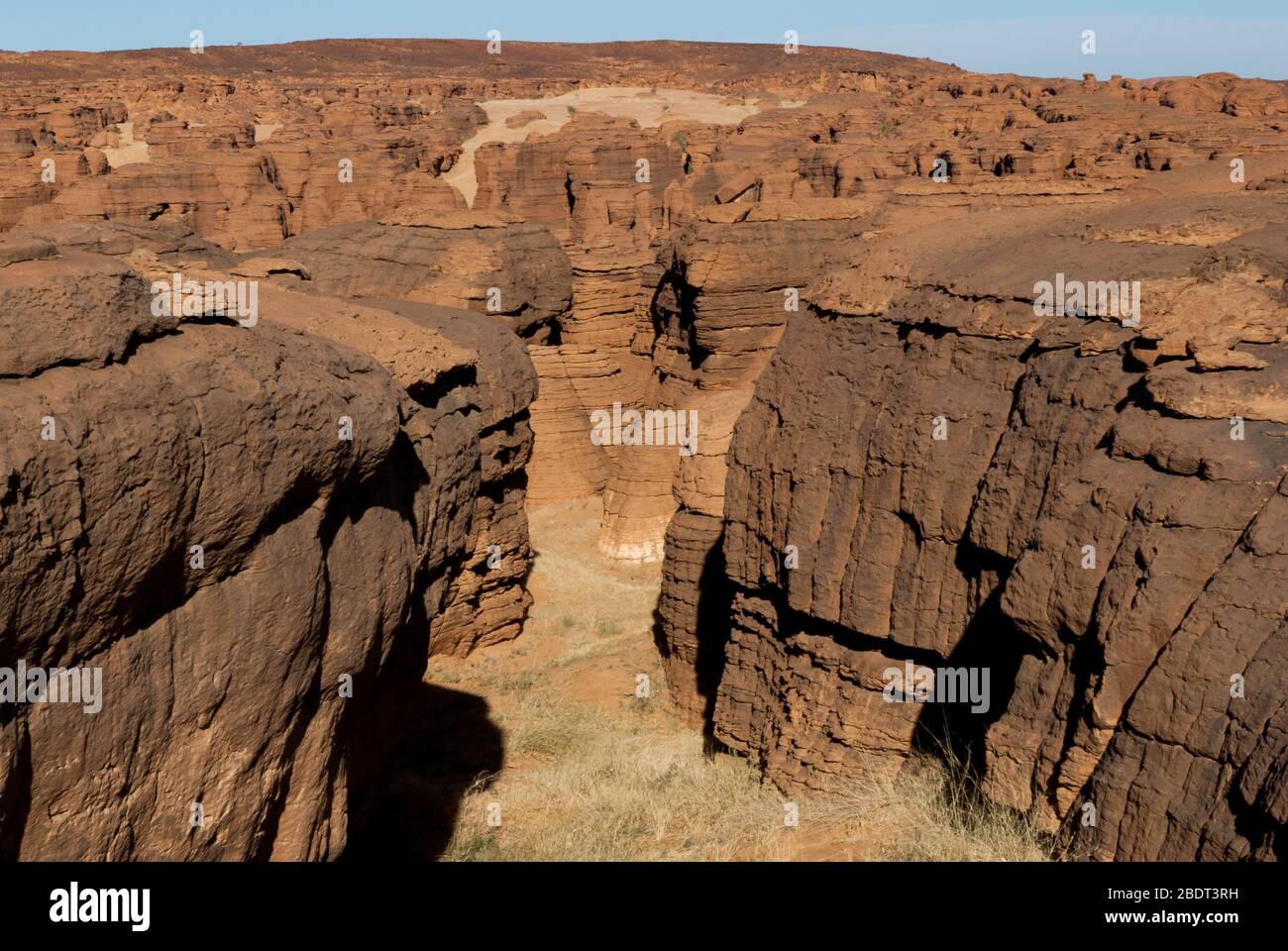 Labyrith der Felsformation d'Oyo in Ennedi Plateau auf Sahara Dessert, Tschad, Afrika. Stockfoto