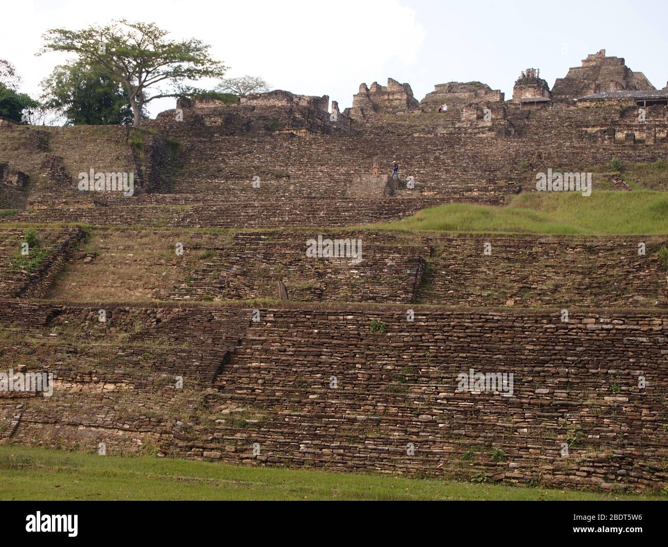 Ruinen der archäologischen Stätte von Tonina, einem Maya-Palast-Komplex in Chiapas, Mexiko Stockfoto