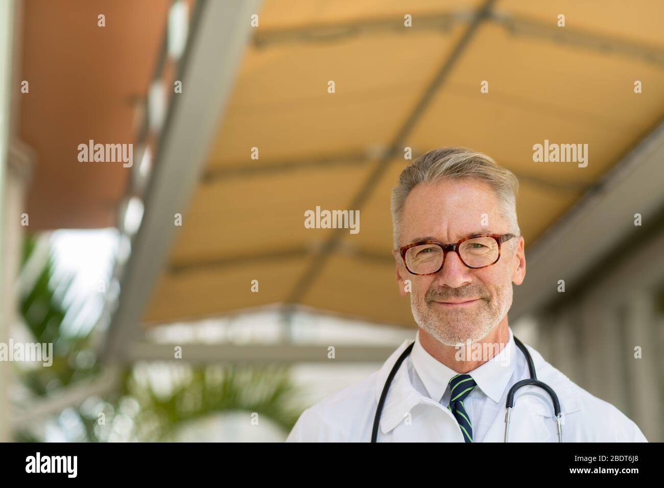 Porträt eines reifen gutaussehenden Arzt an eine Arztpraxis. Stockfoto
