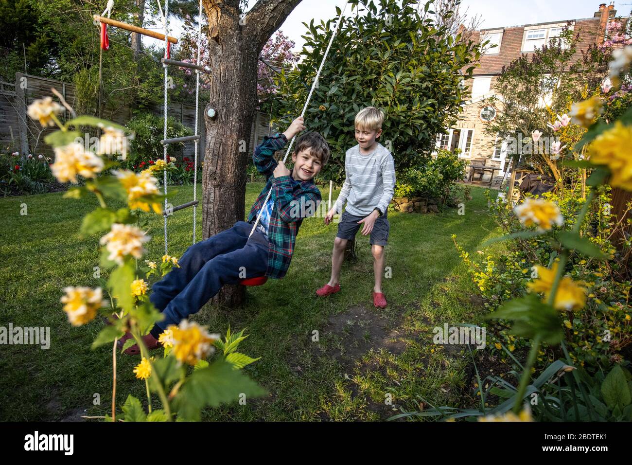 Zwei junge Brüder im Alter von 6 und 9 Jahren spielen auf einer Seilleiter und Seilschaukel in ihrem Garten, London, England, Großbritannien Stockfoto