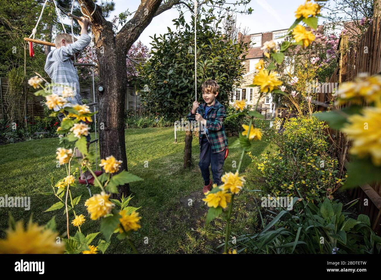 Zwei junge Brüder im Alter von 6 und 9 Jahren spielen auf einer Seilleiter und Seilschaukel in ihrem Garten, London, England, Großbritannien Stockfoto