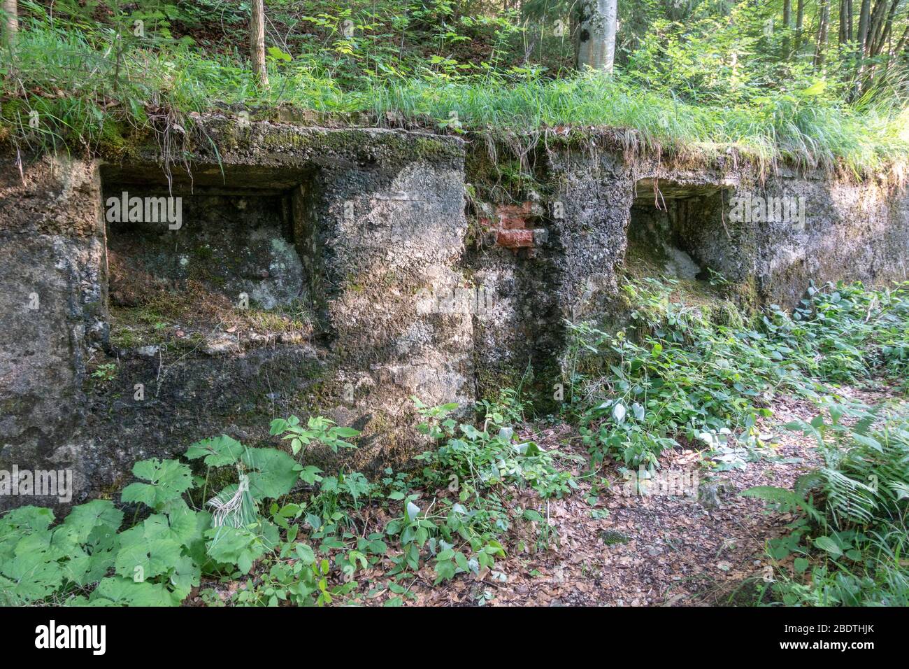 Ruinen von Adolf Hitlers Haus, dem Berghof, im Obersalzberg, bayrische Alpen bei Berchtesgaden, Bayern, Deutschland. Stockfoto
