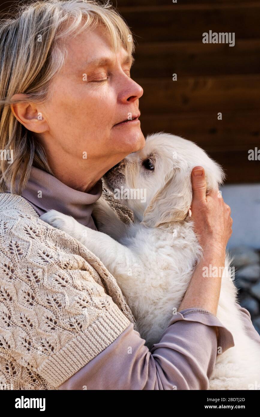 Frau, die sechs Wochen alt Platinum hält, oder Cream colored Golden Retriever Welpe Stockfoto