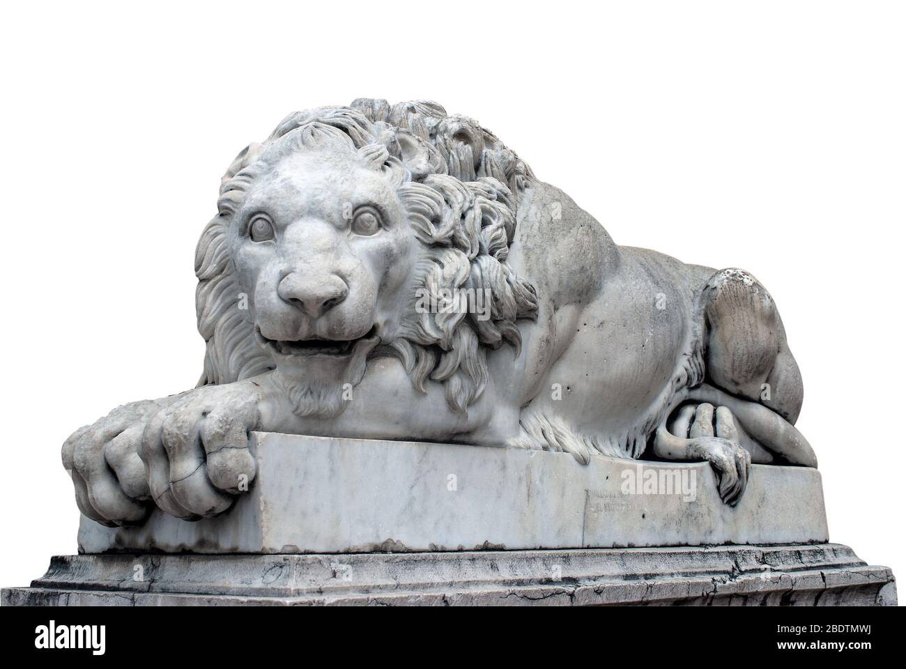Lione King Stockfoto