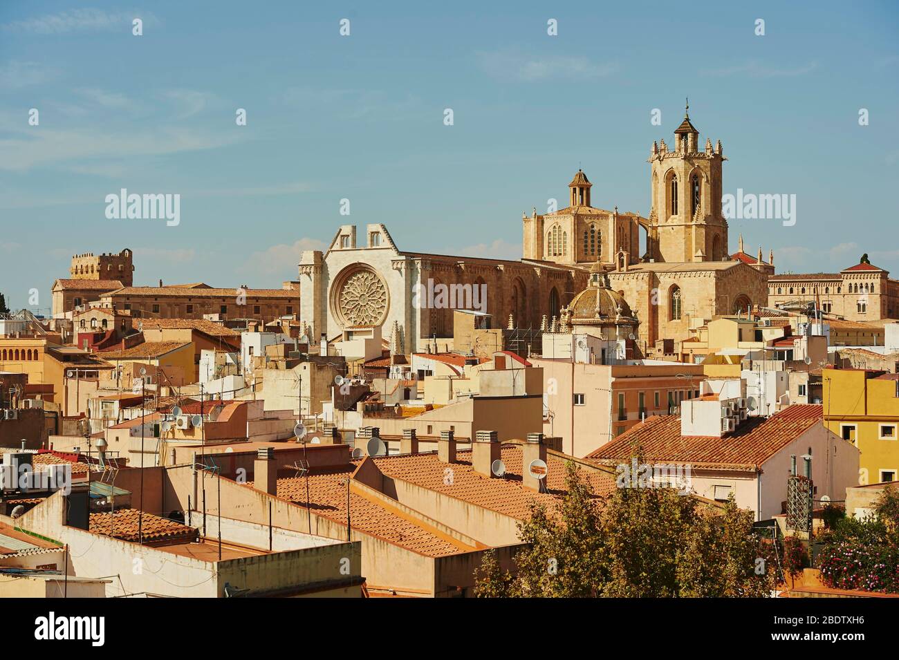 Blick über Altstadt mit Kathedrale Santa Maria, Tarragona, Katalonien, Spanien Stockfoto