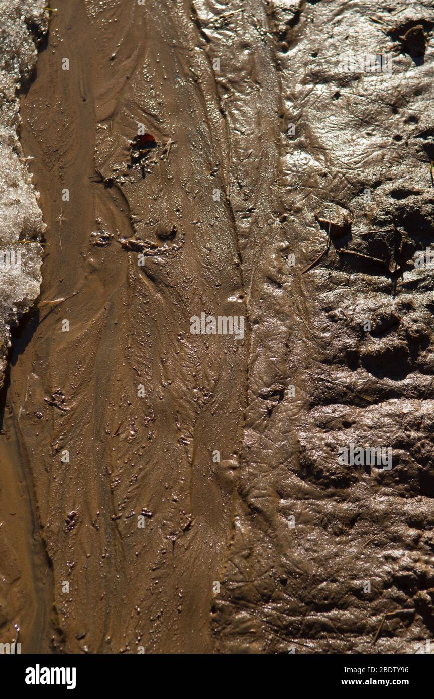 Spring Thaw Mud Path Halb glatt halb holprig Abstrakt Nahaufnahme von Schmutzwasser, das durch Kanäle oder Straßen mit Eis Schmelzen von Spring Thaw Stockfoto