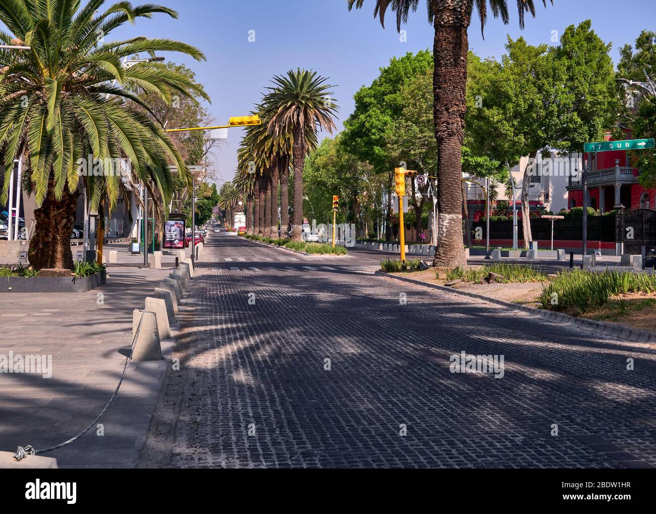 Leere Straße Avenida Juarez ohne Menschen und Fahrzeug in Puebla Stadt während des Covid-19 Virus, Puebla de Zaragoza, Mexiko, im April 9, 2020. Stockfoto