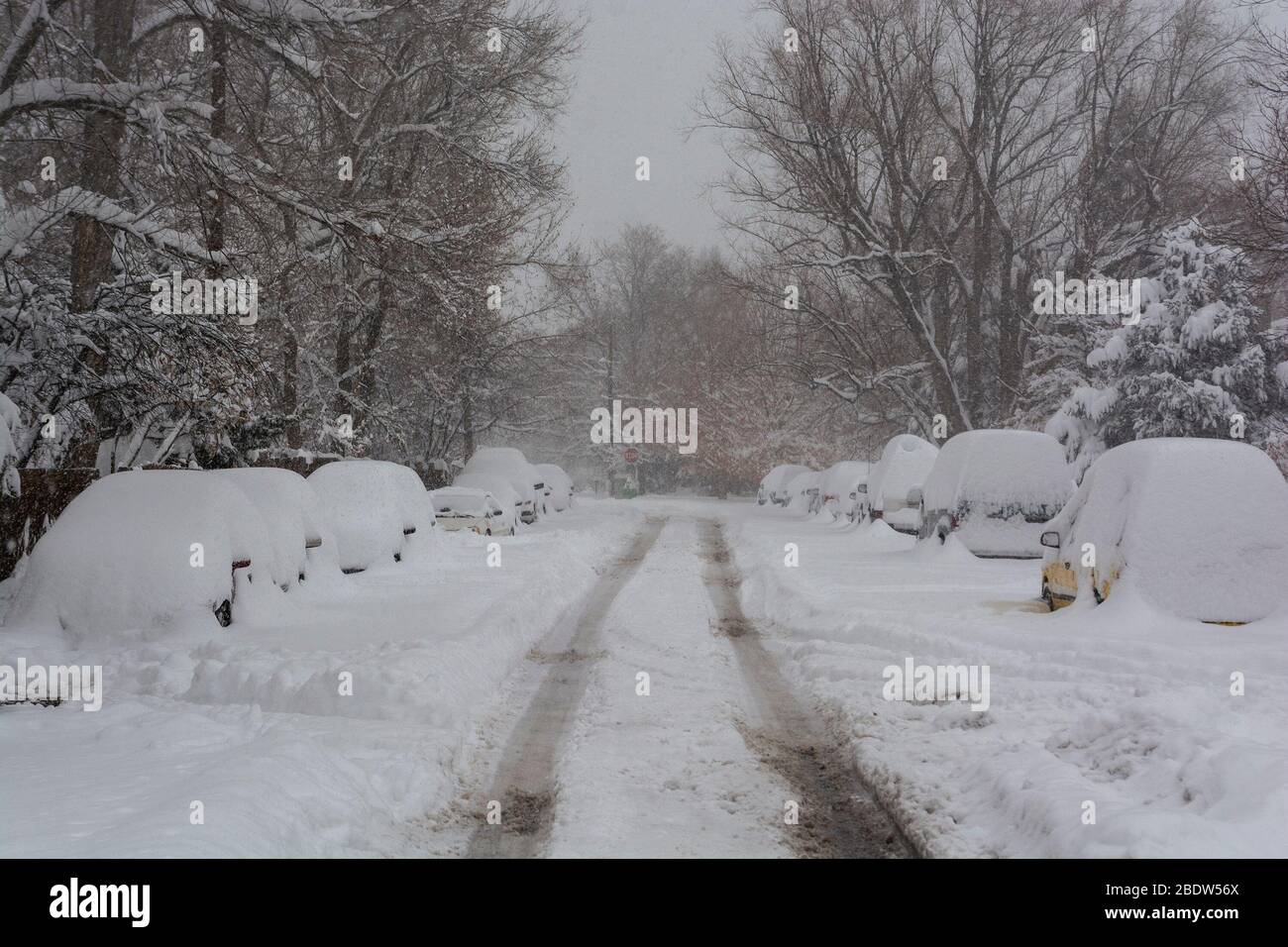 Schneebedeckte Autos auf einer Straße während eines Blizzards Stockfoto