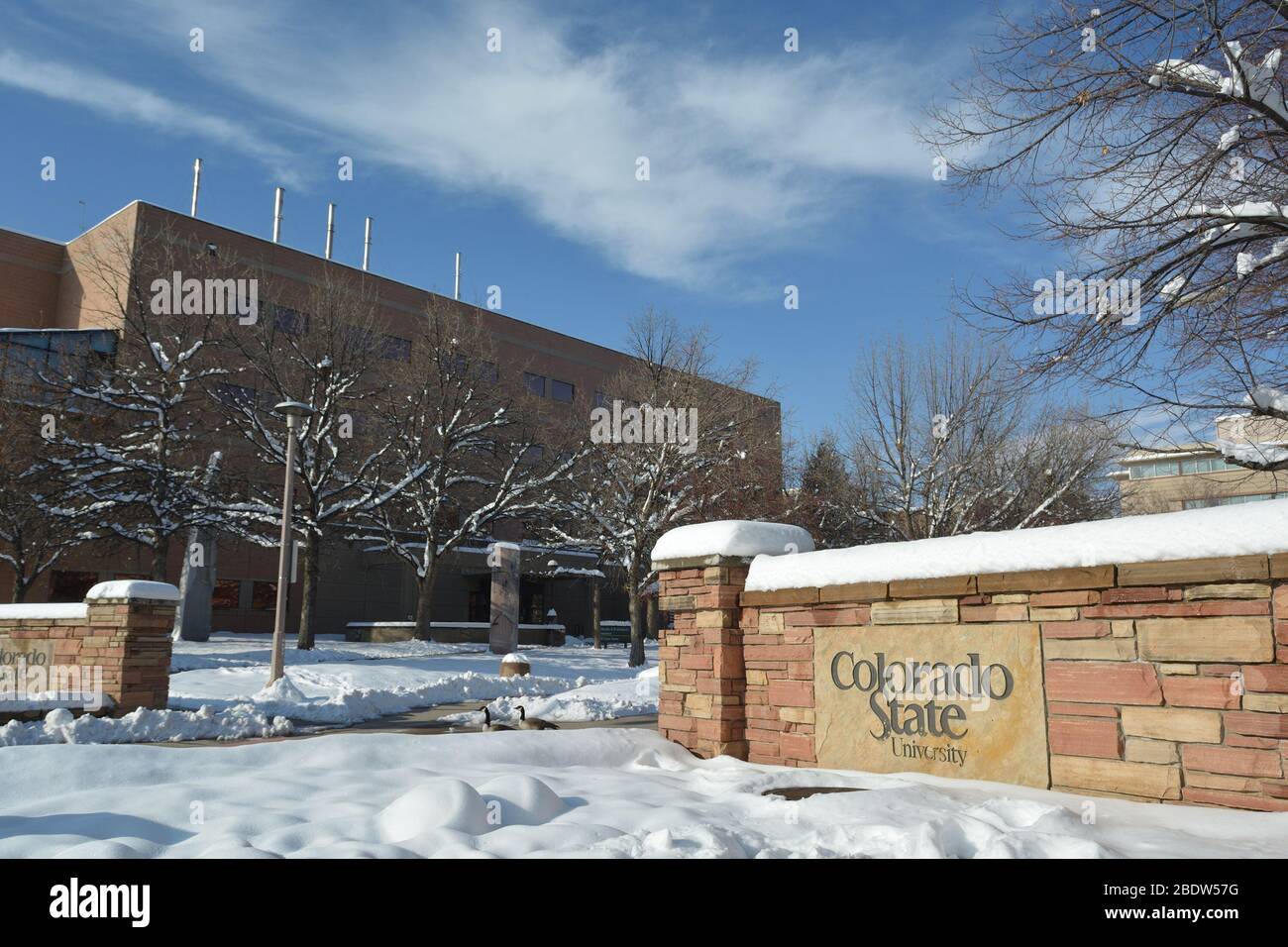 FORT COLLINS, COLORADO, USA - 28. November 2019: Die Colorado State University ist eine öffentliche, Land Grant Institution für Hochschulbildung in Fort Collins, Co Stockfoto