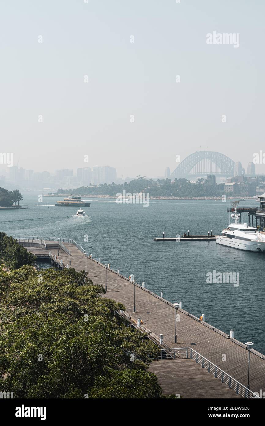 Blick auf den Hafen von Pyrmont und den Pirrama Park vom Giba Park in der Nähe von Jones Bay Wharf, Sydney. Stockfoto