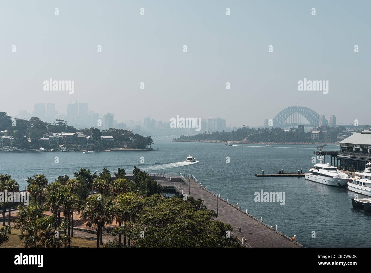 Blick auf den Hafen von Pyrmont und den Pirrama Park vom Giba Park in der Nähe von Jones Bay Wharf, Sydney. Stockfoto