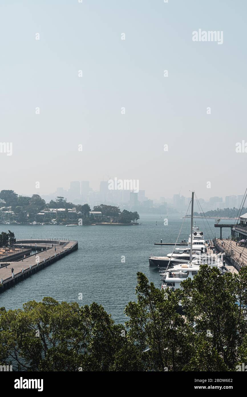 Blick auf den Hafen von Pyrmont und den Pirrama Park vom Giba Park in der Nähe von Jones Bay Wharf, Sydney. Stockfoto