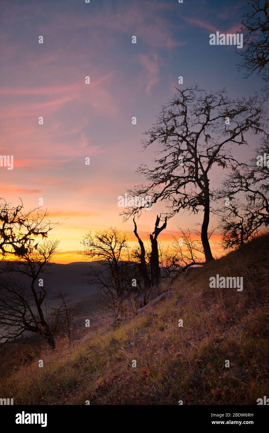 Farbbild eines wunderschönen Sonnenuntergangs mit Blick auf die bald Hills in Nordkalifornien. Stockfoto