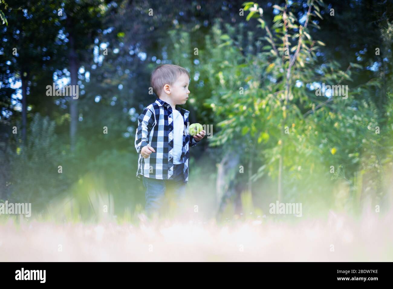 Kleiner Junge mit Apfel im karierten Hemd im Sommerpark Stockfoto