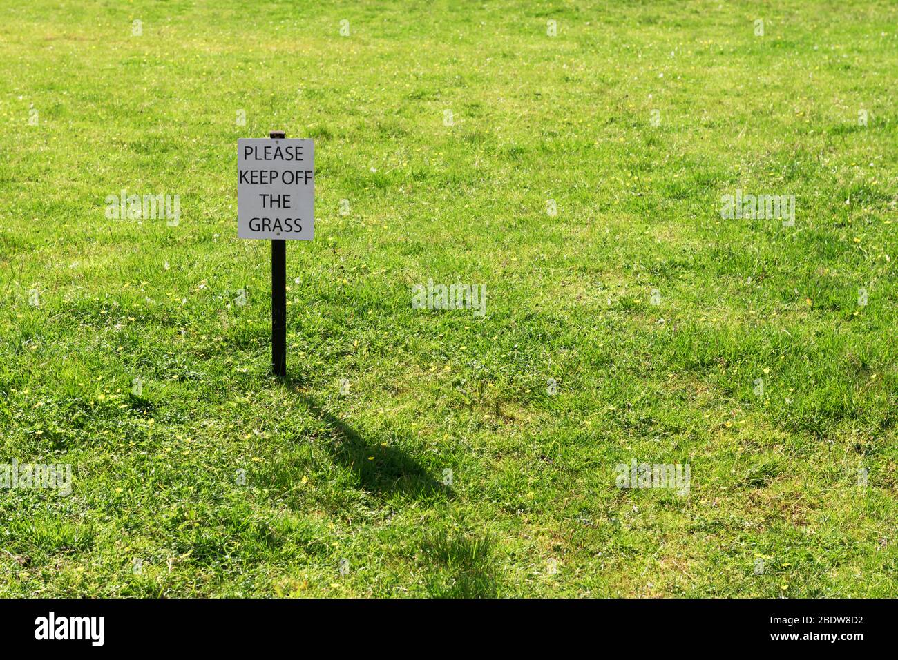 Auf einem grünen Rasenwiesenpark im Hinterhof sollte man das Schild mit dem Gras nicht sehen Stockfoto