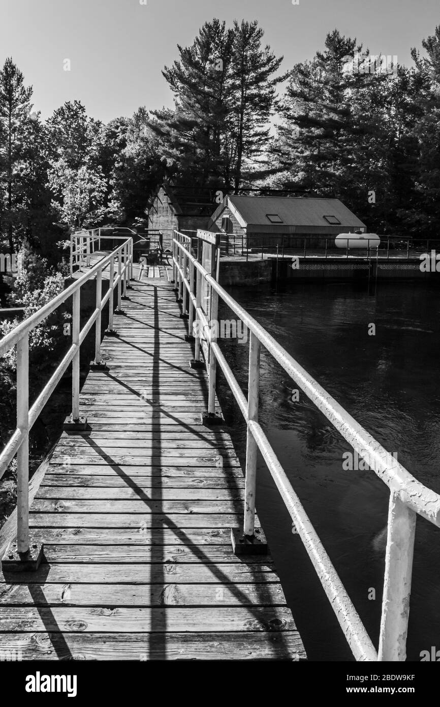 Canadian Cottage Country-Szene im Sommer Stockfoto