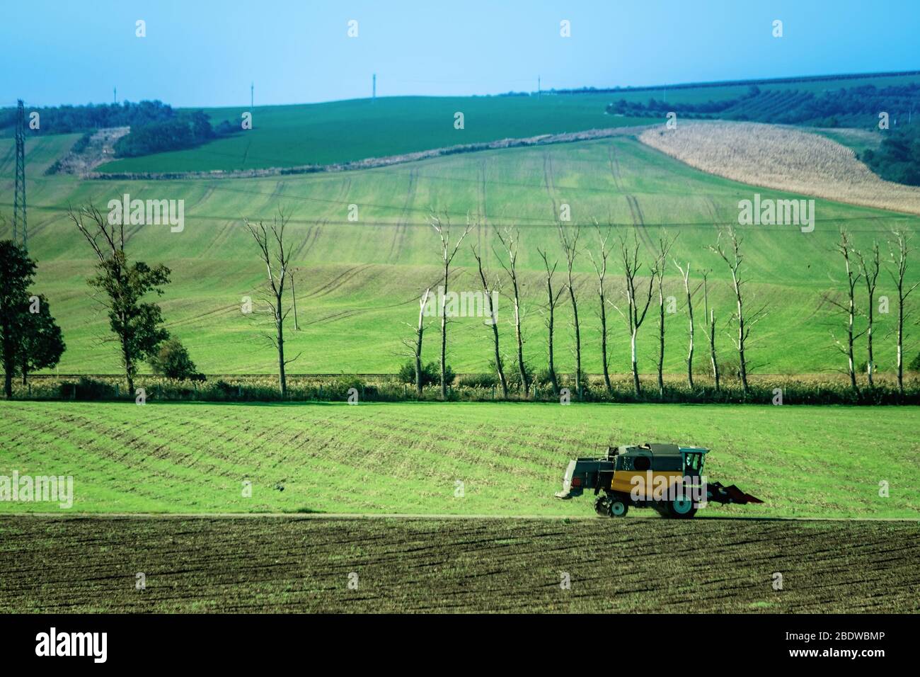 Sonnenscheinlandschaft mit grünen Feldern auf den Hängen und Traktor Pflügen den Boden Stockfoto