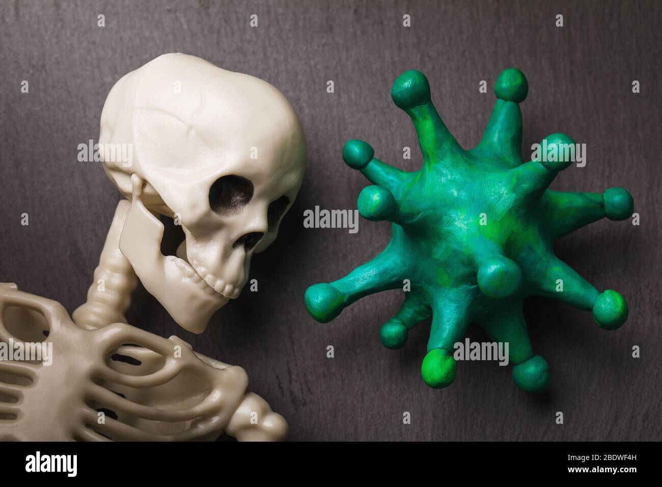 Spielzeug Coronavirus und menschliches Skelett. Konzept der pandemischen Mortalität Covid-19 Stockfoto