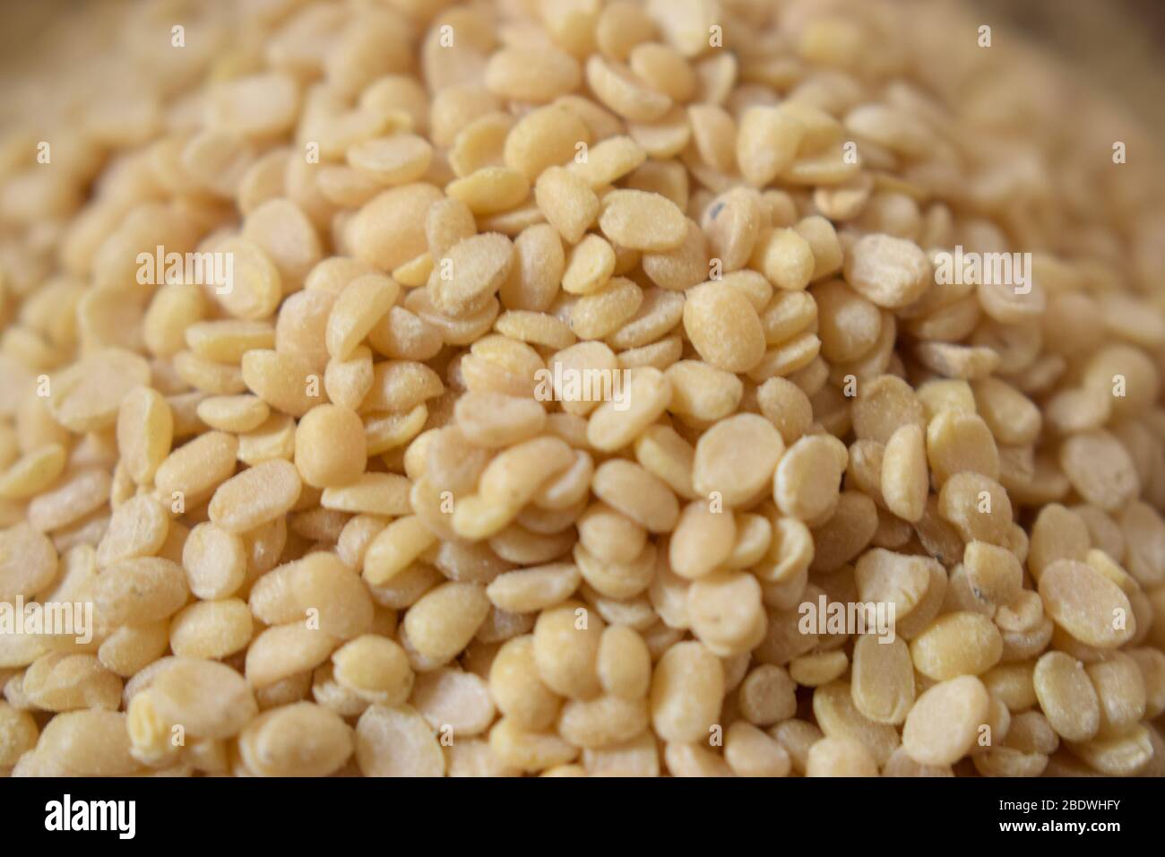Split White Urad Dal. Vigna mungo Bohnen als abstrakte Hintergrundtextur Stockfoto