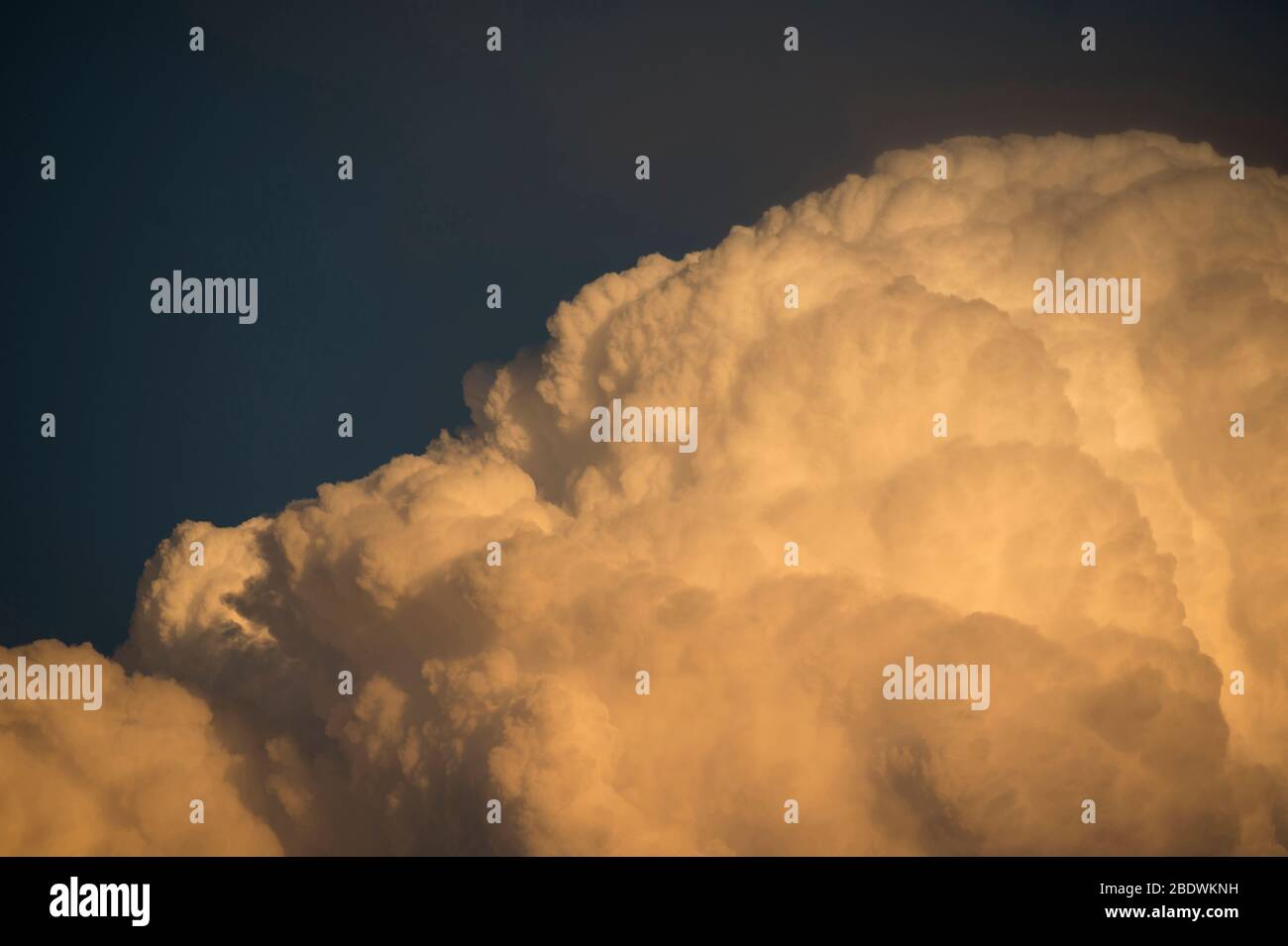 Wolken, Ameisennest Reserve, in der Nähe von Vaalwater, Limpopo Provinz, Südafrika Stockfoto