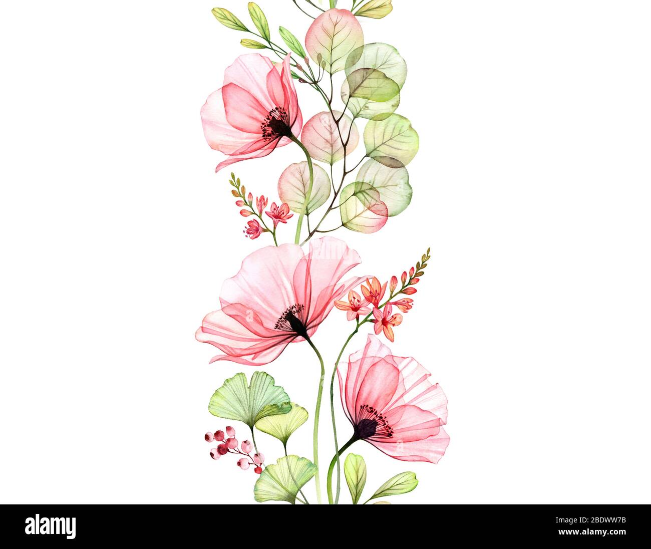 Aquarell Poppy nahtlose Borte. Vertikales sich wiederholendes Muster. Abstrakte rosa Blüten mit Blättern und fresia Zweige auf weiß. Botanische Illustration Stockfoto