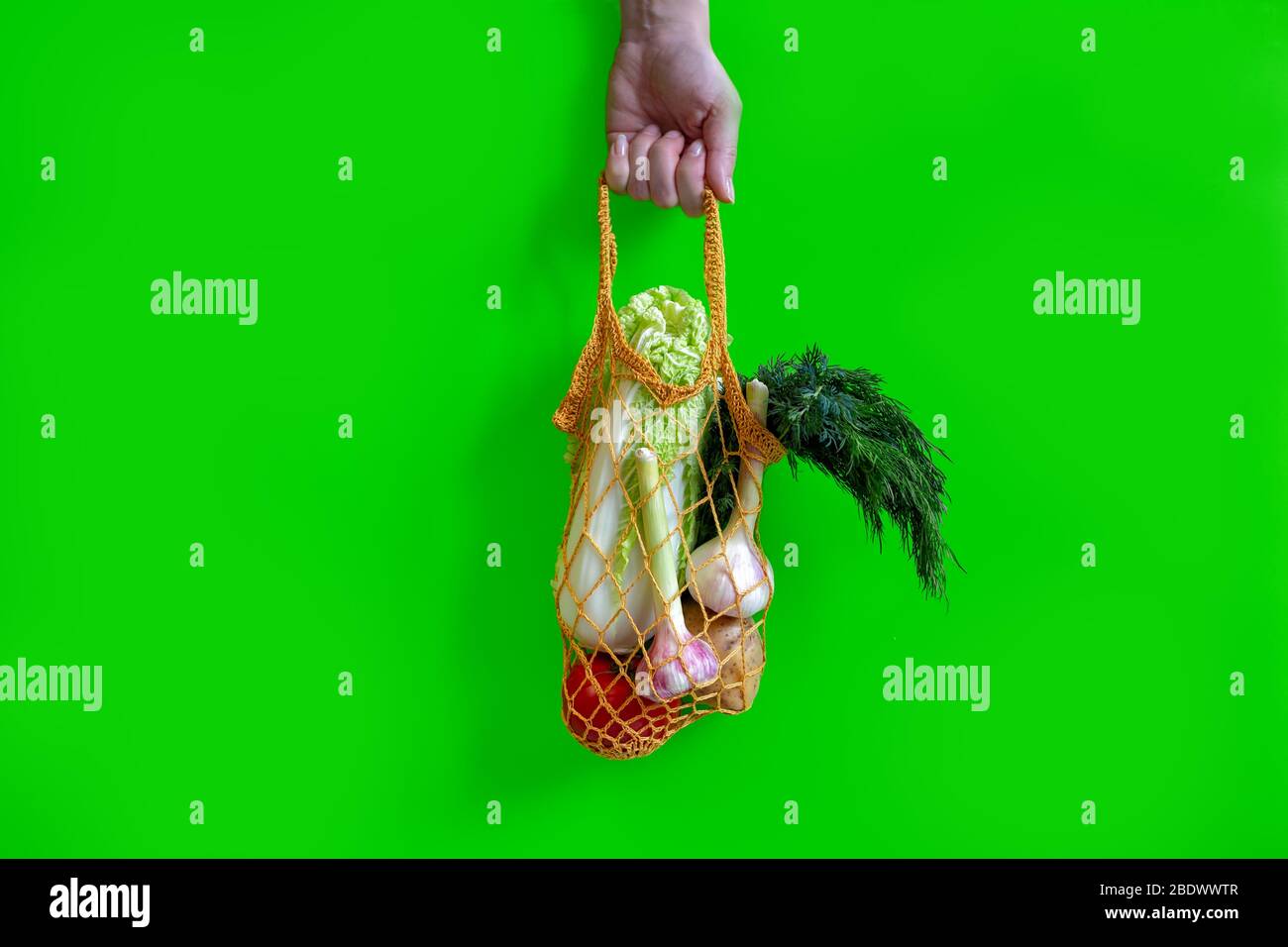 Hand auf grünem Hintergrund hält eine Stricktasche mit Gemüse: Tomaten, Knoblauch, Kartoffeln, Kohl, Zwiebeln und ein Haufen Dill. Vegetarisches Gemüse Stockfoto