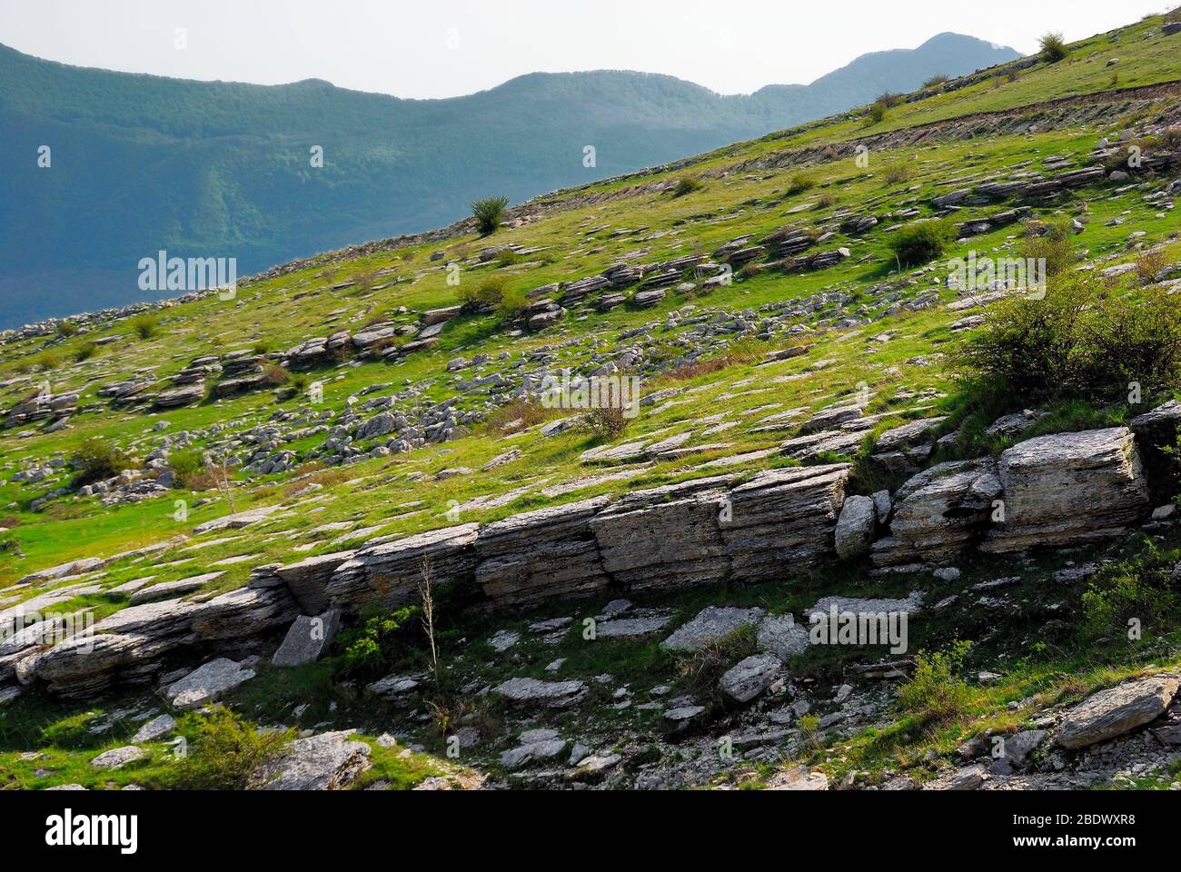 Die fossile Ablagerung von Pietraroja (Benevento), Italien, Süd Italien Appennino. Stockfoto