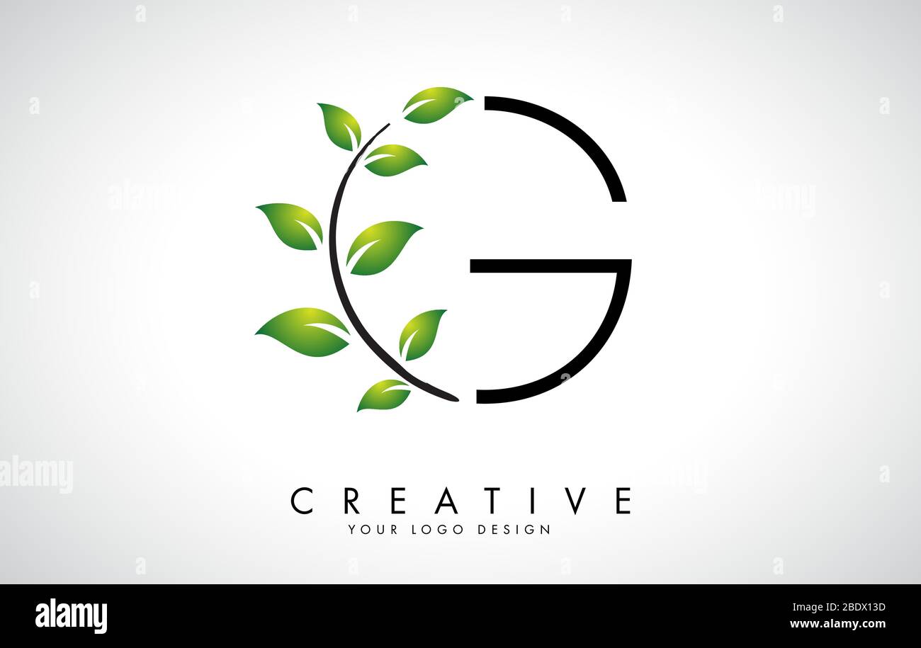 Blatt Buchstabe G Logo Design mit grünen Blättern auf einem Zweig. Buchstabe G mit Naturkonzept. Öko und Organic Letter Vektor Illustration. Stock Vektor