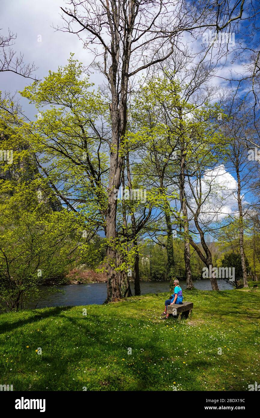 Einsame Hündin saß auf einer Steinbank bei River Ariege, Ornolac Ussat les Bains, Ariege, Französisch Pyrenäen, Frankreich Stockfoto