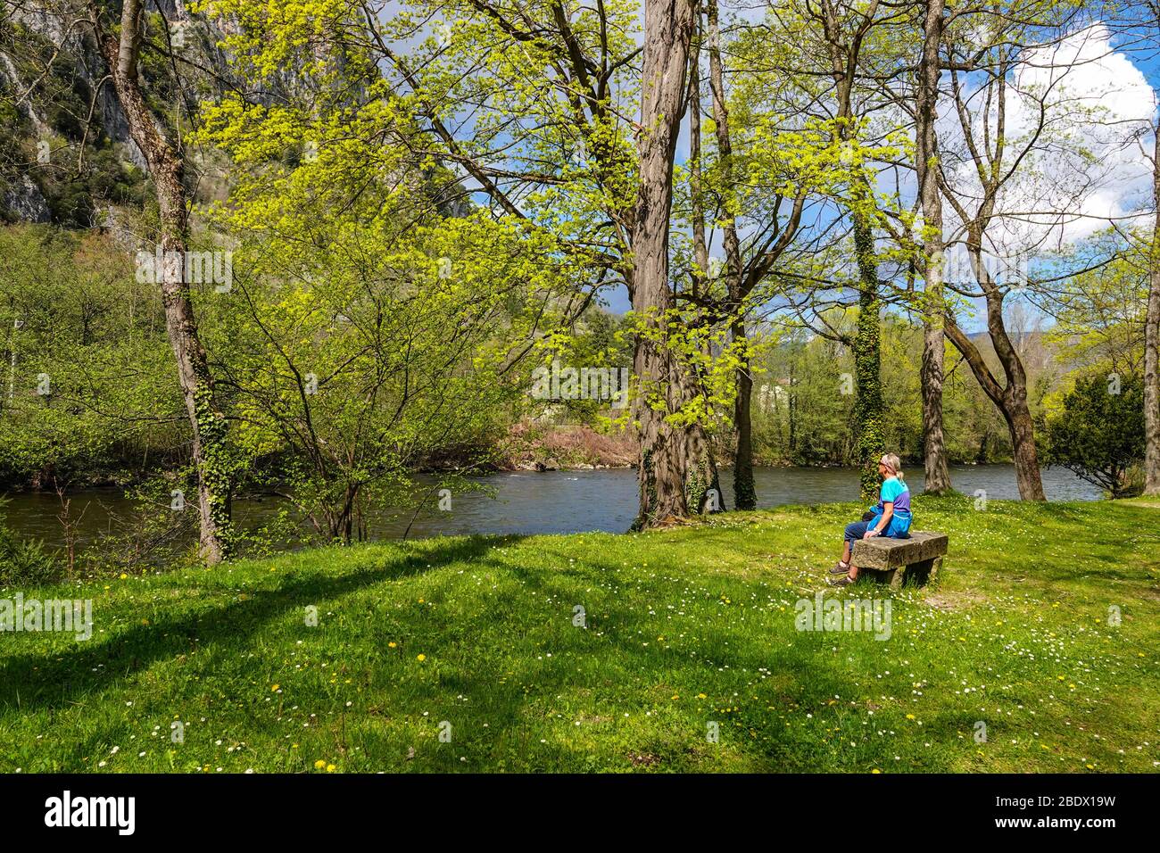 Einsame Hündin saß auf einer Steinbank bei River Ariege, Ornolac Ussat les Bains, Ariege, Französisch Pyrenäen, Frankreich Stockfoto
