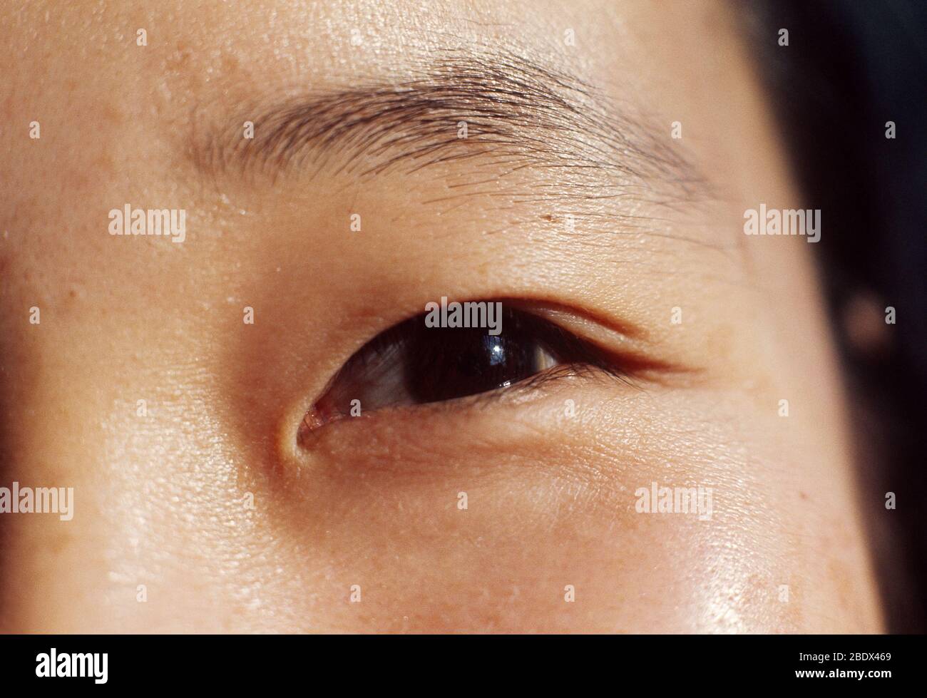 Menschliche Auge Stockfoto