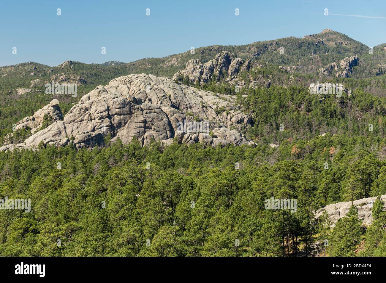 Black Hills Landschaftlich Reizende Landschaft Stockfoto