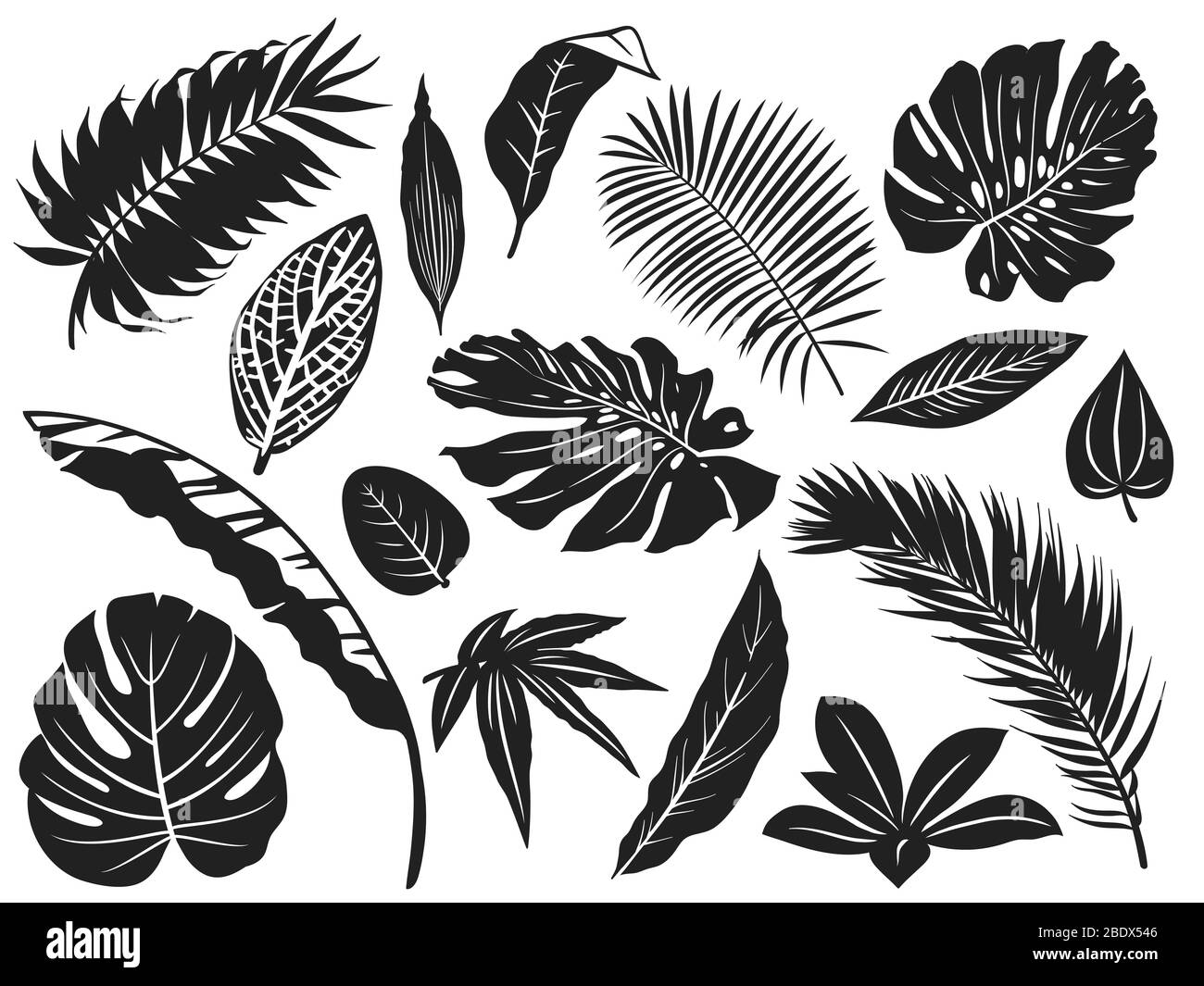 Tropische Blätter Silhouette. Palmblatt, Kokospalmen und Monstera Blätter schwarze Silhouetten Vektor-Illustration Set Stock Vektor