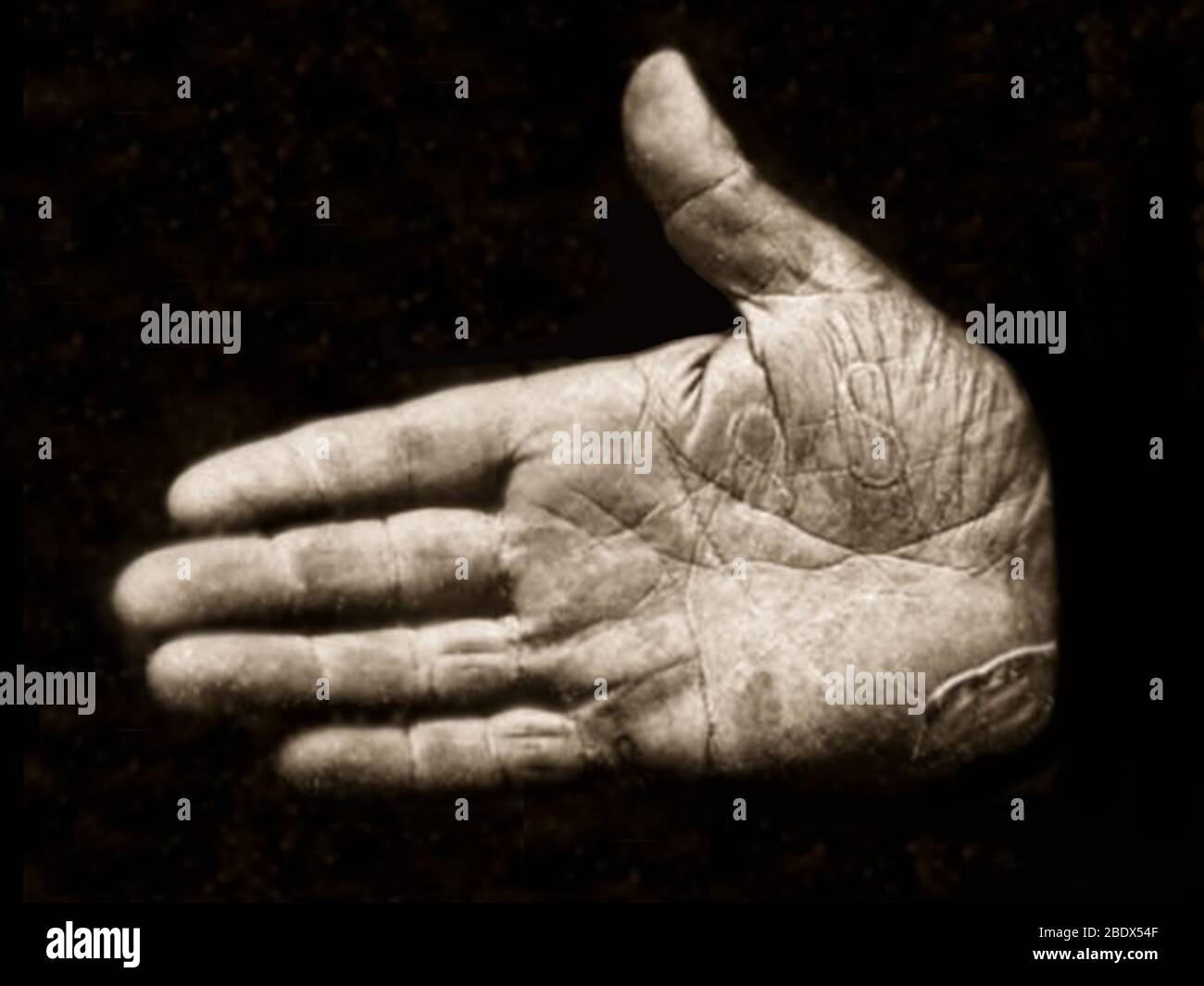 Jonathan Walker, S S für Slave Stealer Stockfoto