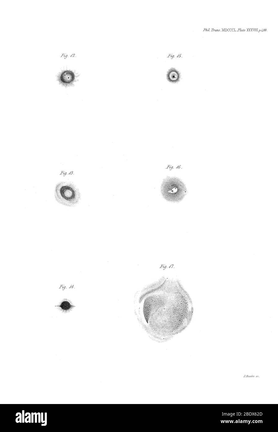 William Parsons, Spiral Galaxies, 1850 Stockfoto