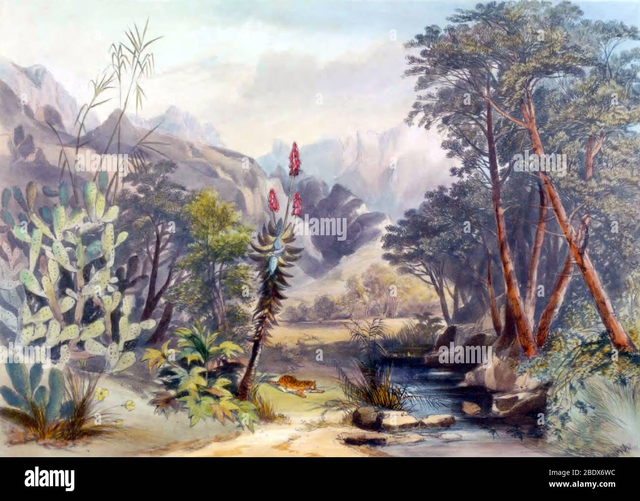 Südafrika, Baviaanskloof, 1840er Jahre Stockfoto
