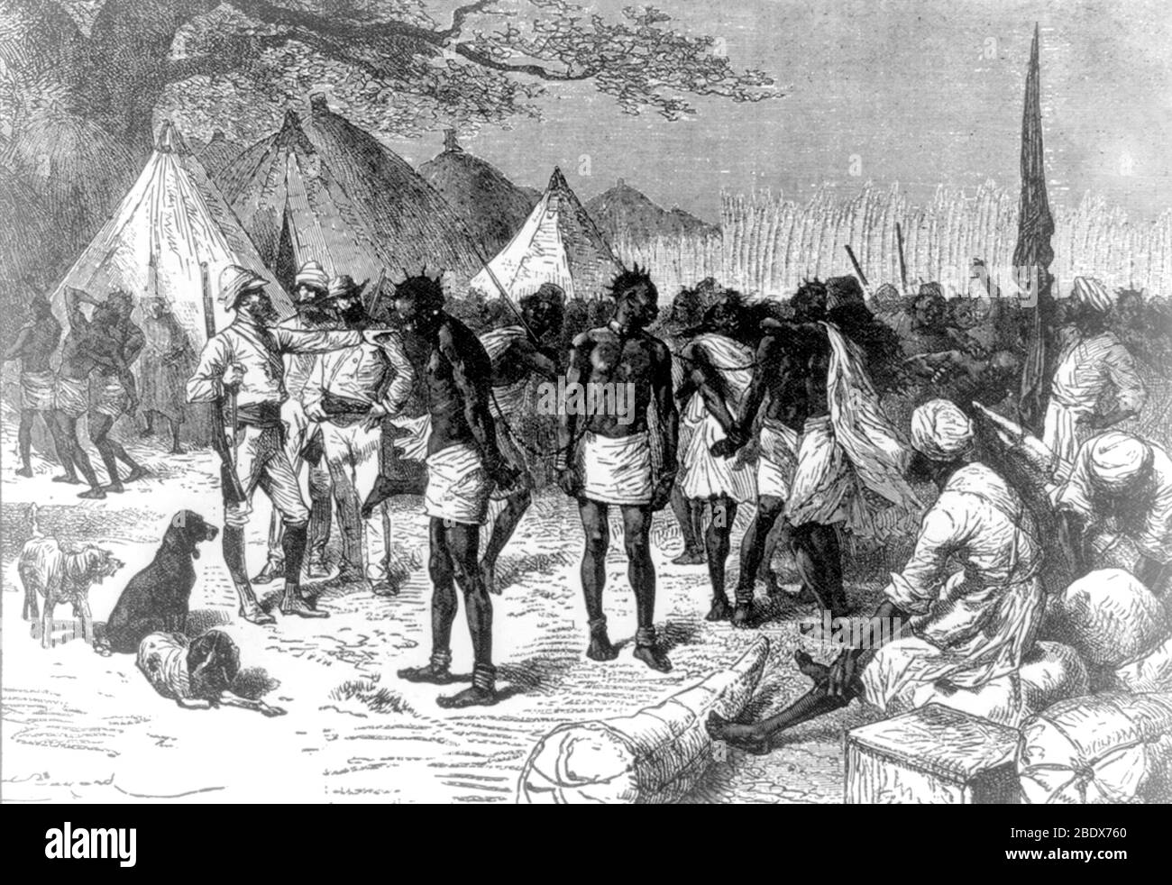 Henry Stanley beobachtet die Sklaven von Tippu Tip, 1890 Stockfoto