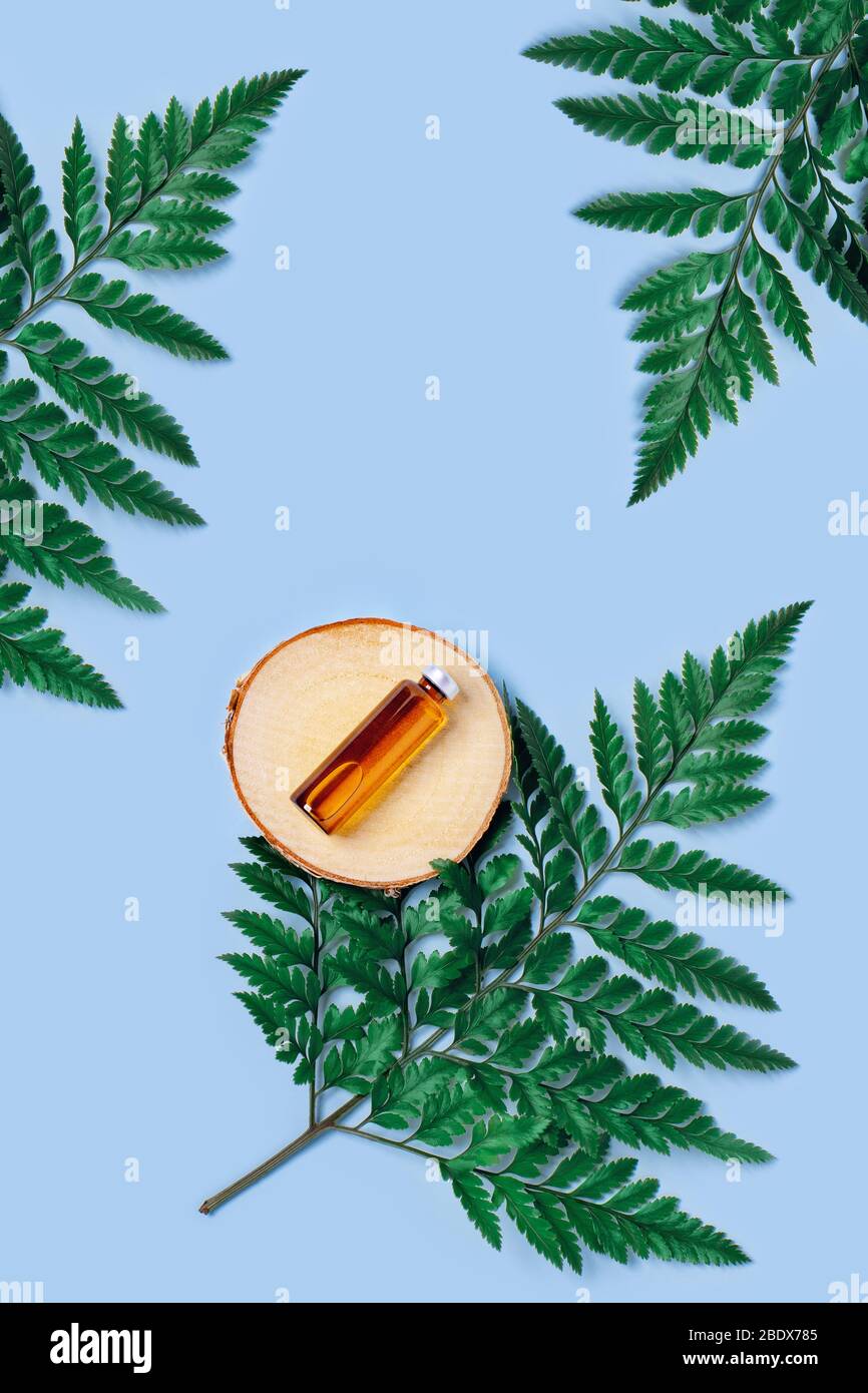 Bioprodukt aus biologischem Anbau Eine leere Flasche mit Hautpflegetinte befindet sich auf der holztrey auf dem grünen Blatt. Blauer Hintergrund. Stockfoto