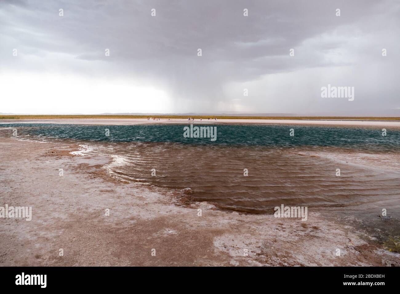 Stürmische Wolken über der Lagune von Cejar, San Pedro de Atacama, Atacama Wüste, Chile Stockfoto