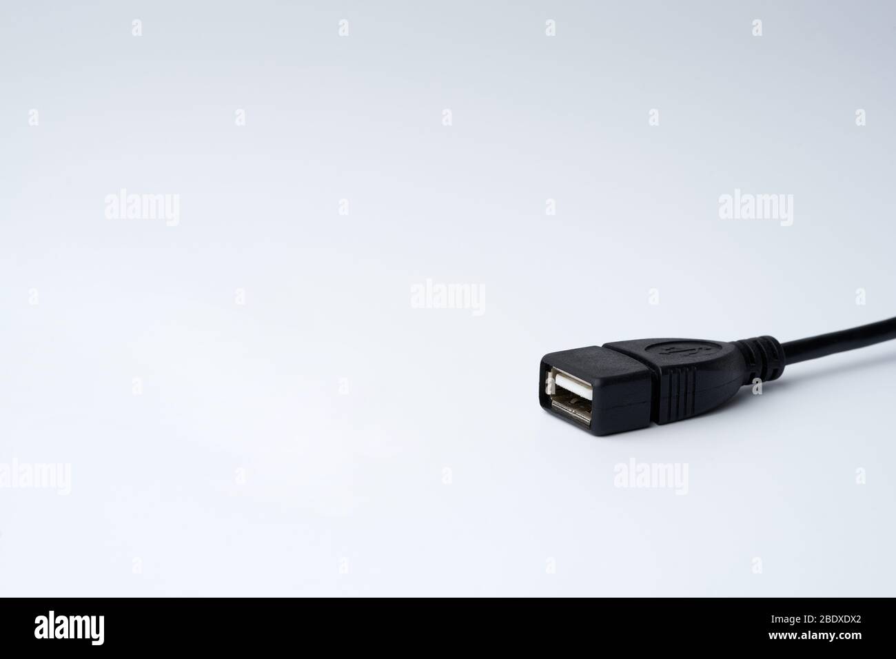 Nahaufnahme des schwarzen USB-Kabelsteckers Typ A, isoliert auf weißem Hintergrund mit Kopierfläche. Stockfoto