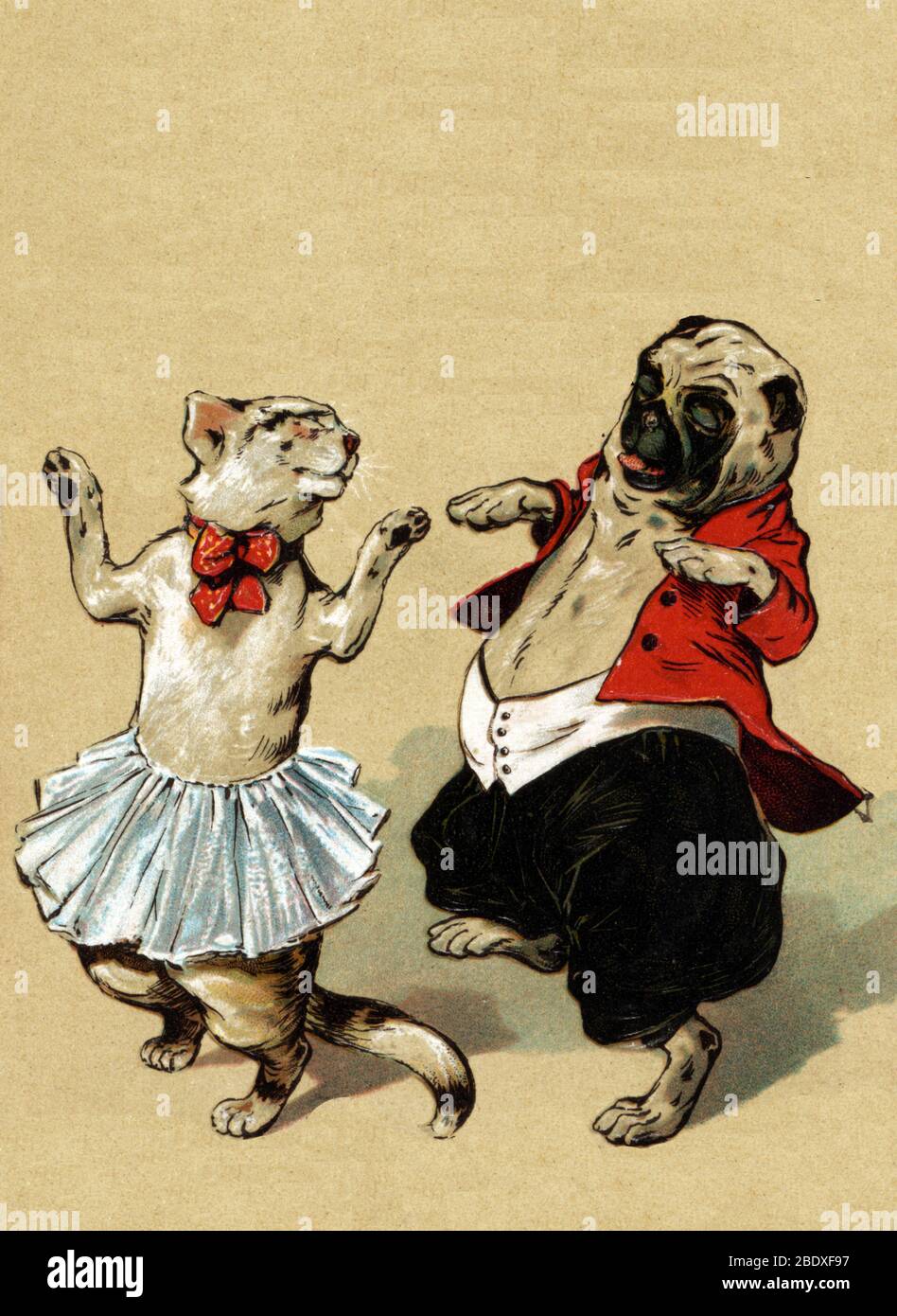Anthropomorphismus, The Cakewalk, 1905 Stockfoto