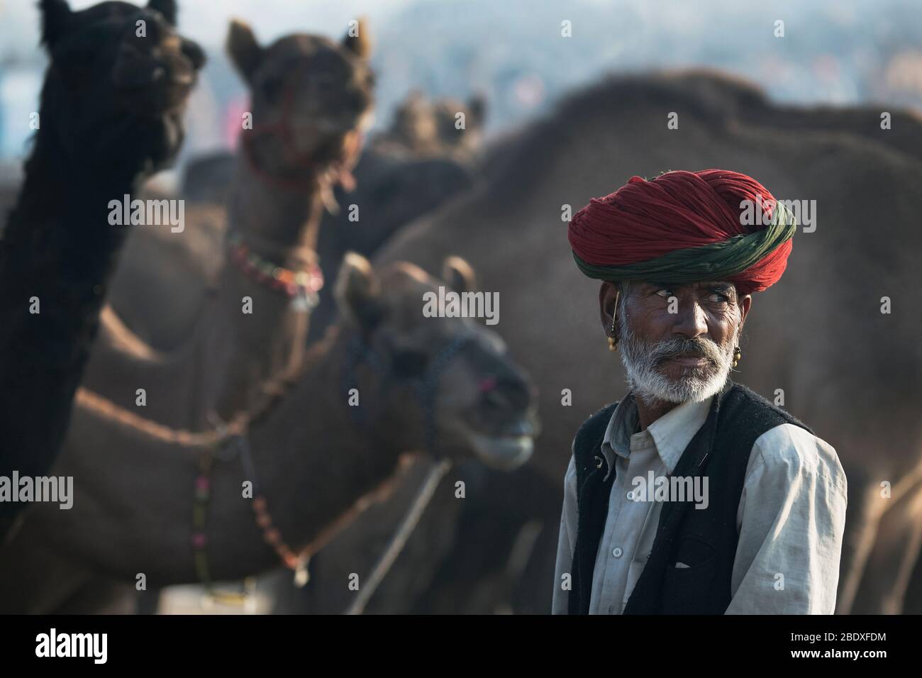 Das Bild von Rajasthani Mann Porträt auf Pushkar Tier Fair, Ajmer, Rajasthan, Indien, asien Stockfoto