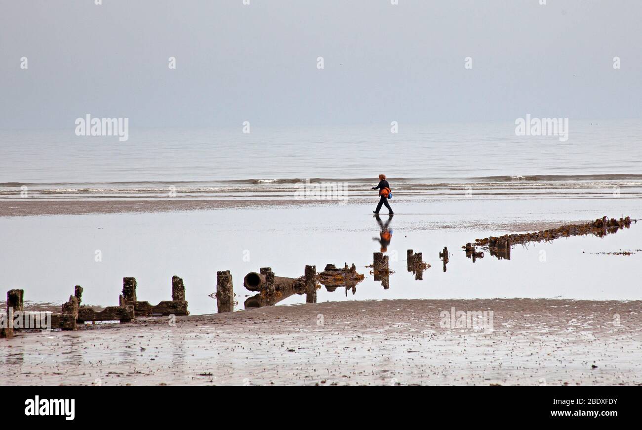 Portobello Beach, Edinburgh, Schottland, Großbritannien. April 2020. Abgebildet: Nebliger Morgen, der den Bildern einen fast monochromen Blick verleiht. Menschen bleiben weit voneinander entfernt, so körperliche soziale Distanzierung und ein Hund, der scheint seine Zunge heraus auf den Fotografen am Sandstrand mit der Flut weit draußen zu stecken. Quelle: Arch White / Alamy Live News. Stockfoto