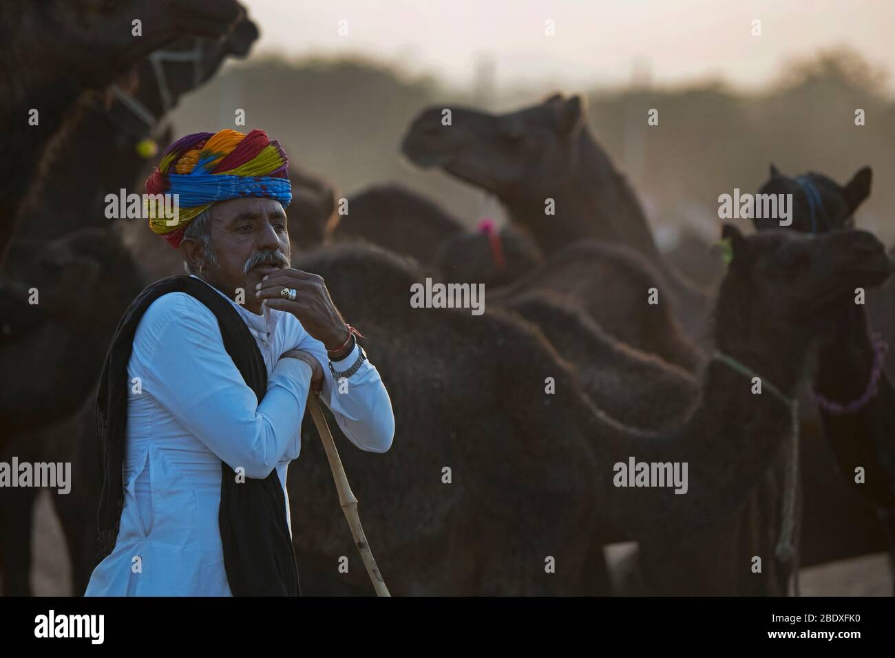 Das Bild von Rajasthani Mann Porträt auf Pushkar Tier Fair, Ajmer, Rajasthan, Indien, asien Stockfoto