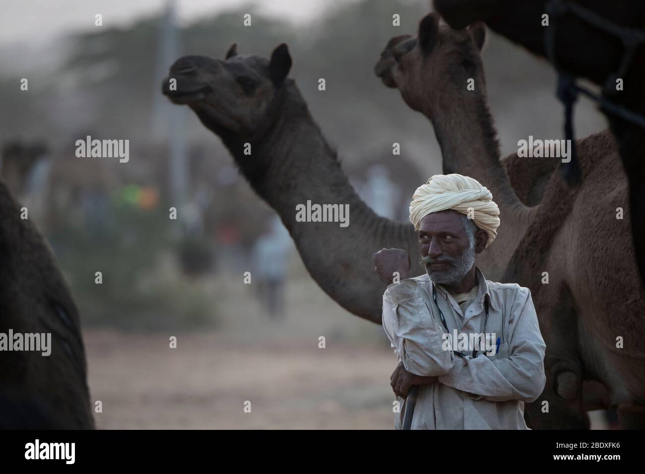 Das Bild von Rajasthani Mann Porträt auf Pushkar Tier Fair, Ajmer, Rajasthan, Indien, asien Stockfoto