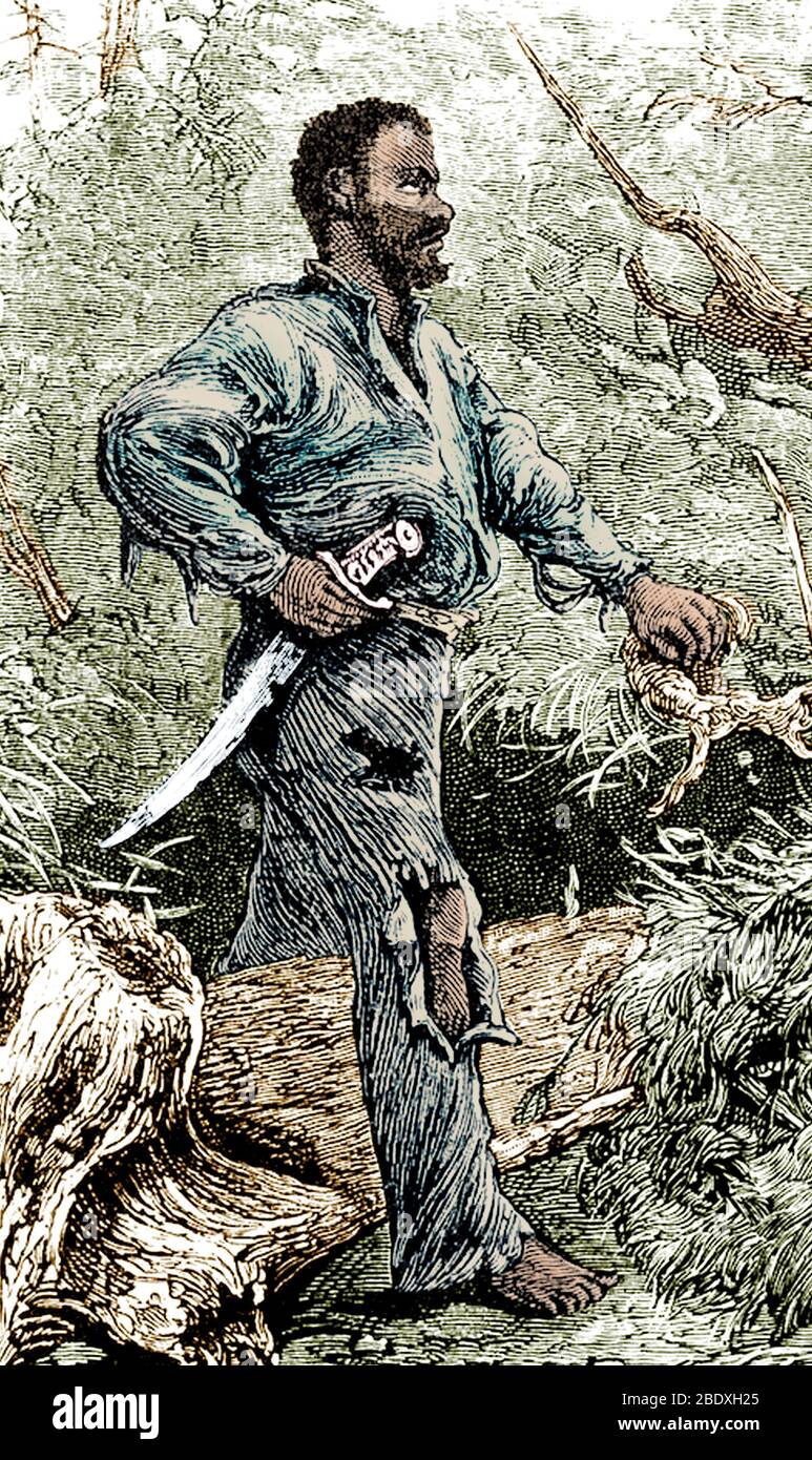 Nat Turner, Rebel Slave Stockfoto