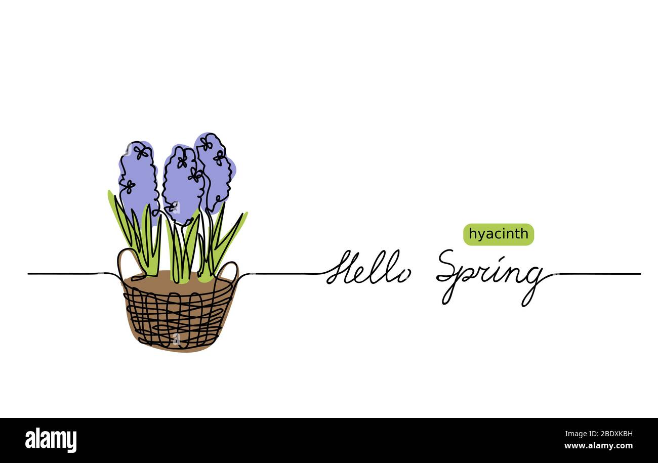 Hallo Frühling Web-Banner, Hintergrund, Gruß. Hyazinth Vektor Skizze und Schriftzug Hello Spring. Stock Vektor